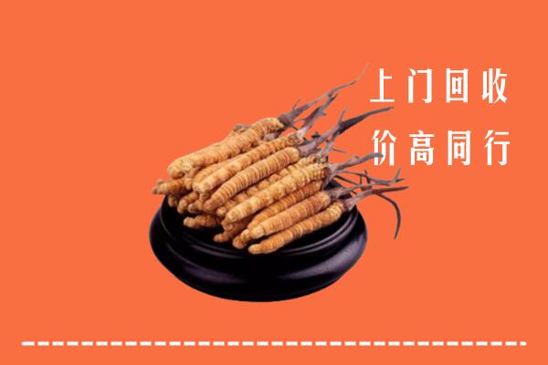 收购行情：龙岩漳平市冬虫夏草回收多少钱每克